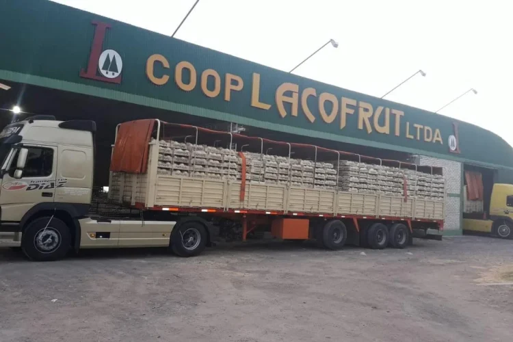 Cooperativa Lacofrut